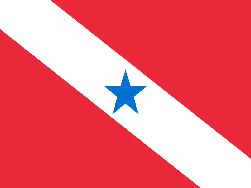Consultar Inscrição Estadual Pará, consulta ie pa
