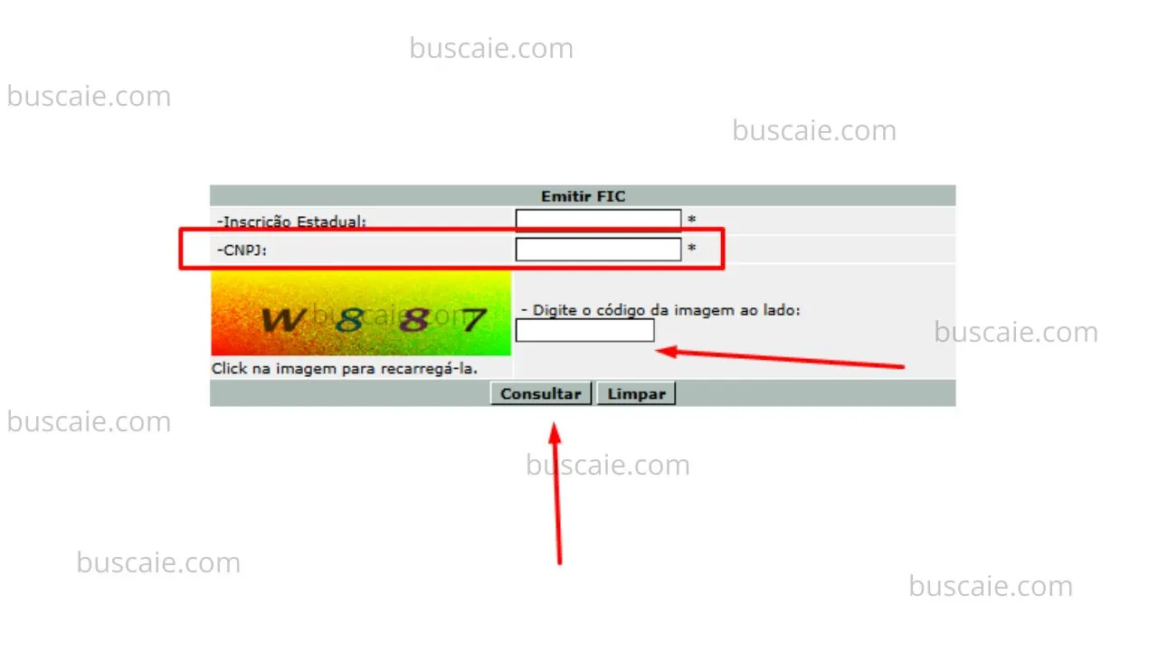 Consulta inscrição estadual Amapá