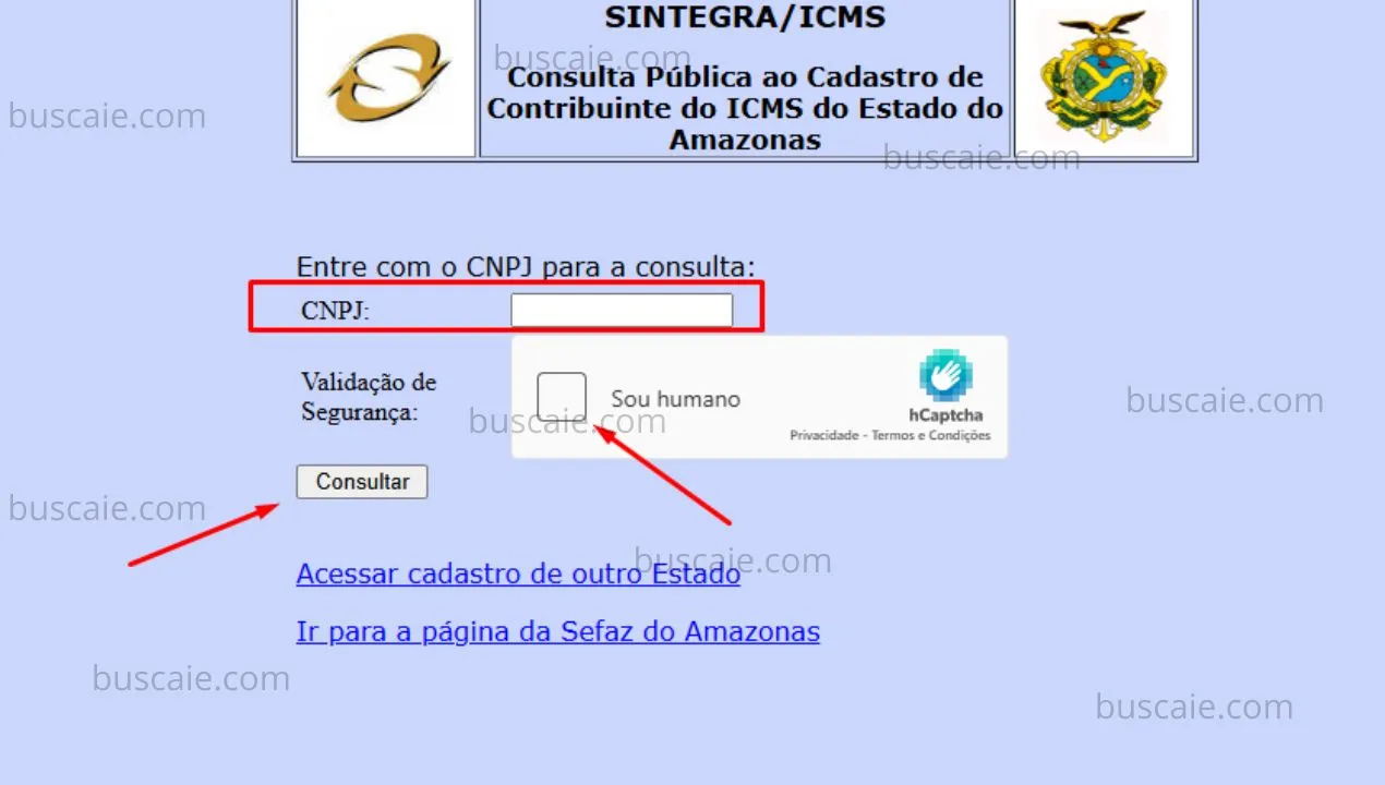 Consulta inscrição estadual Amazonas