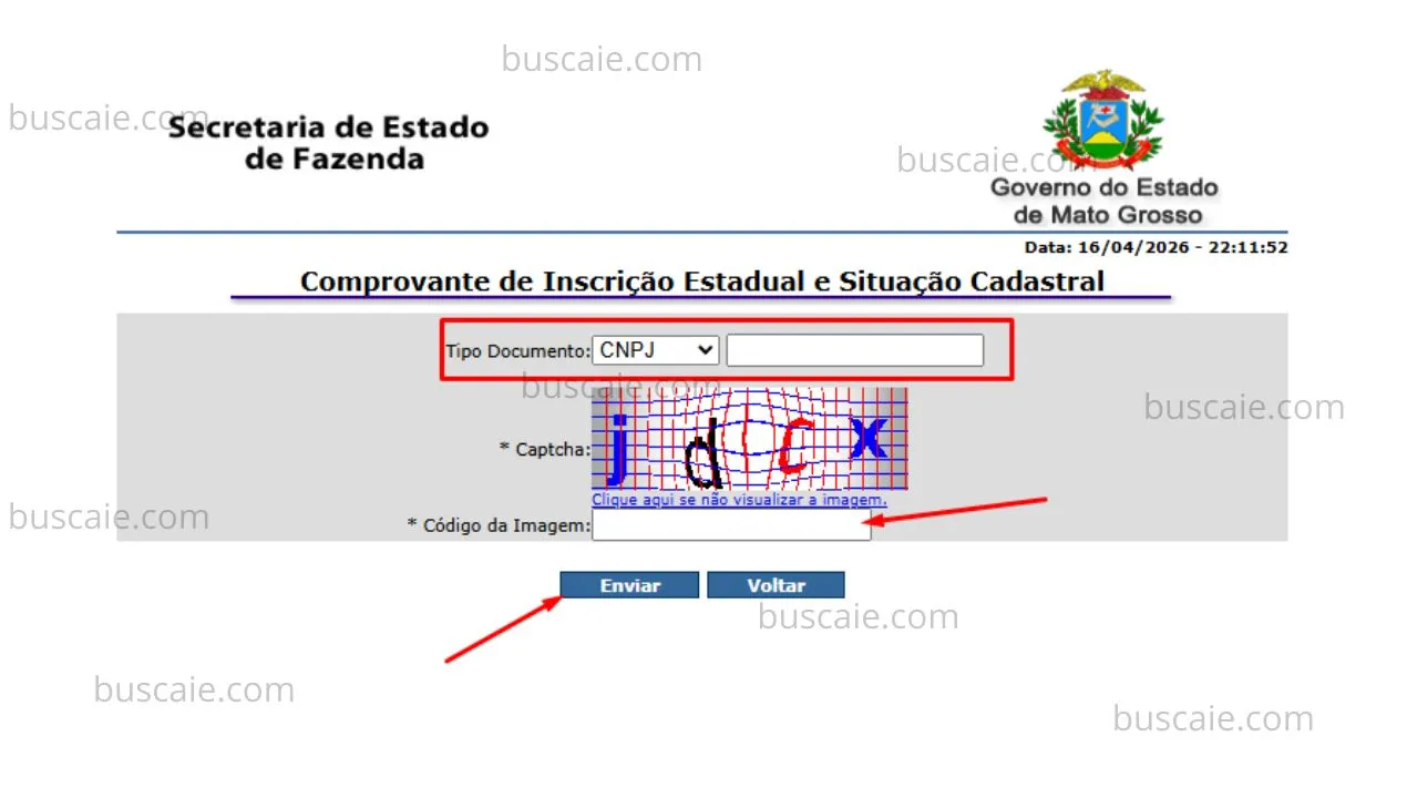 Consulta inscrição estadual Mato Grosso
