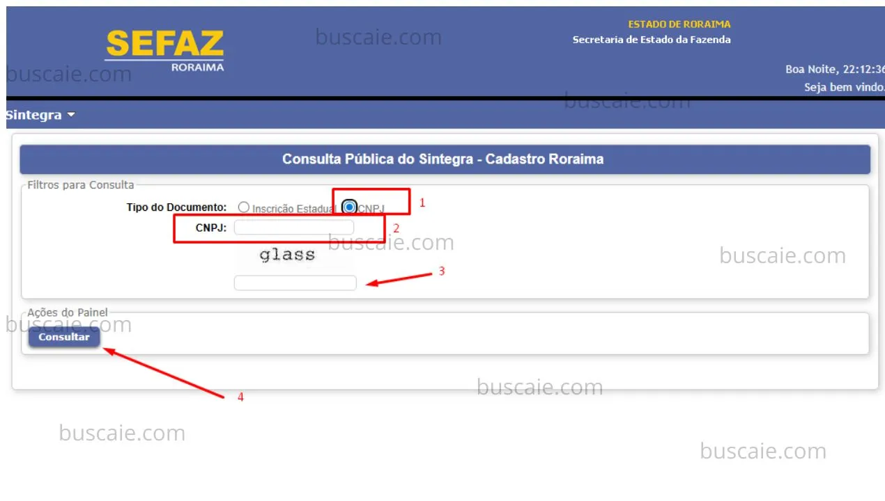 Consulta inscrição estadual Roraima
