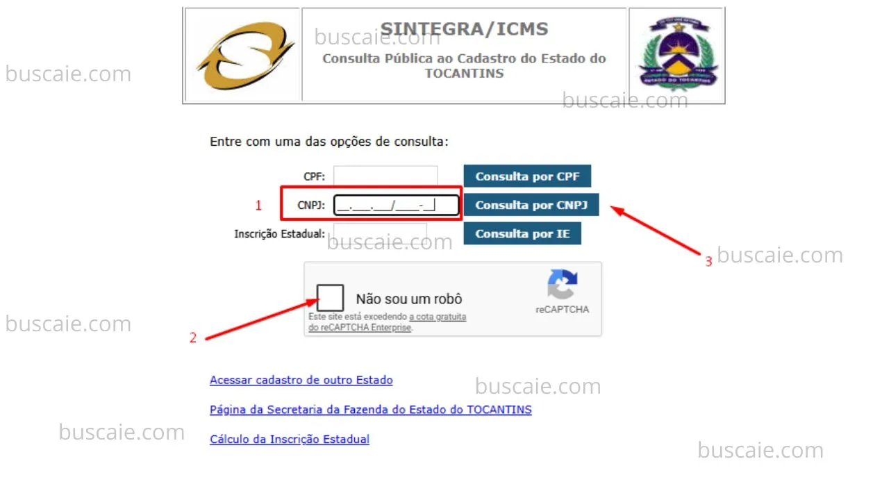 Consulta inscrição estadual Tocantins